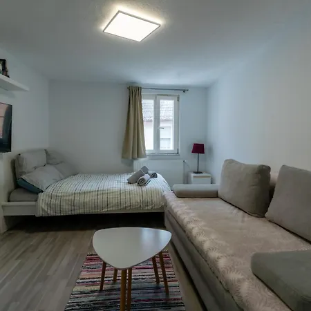 Nette Altbauwohnung In Biebrich Διαμέρισμα *