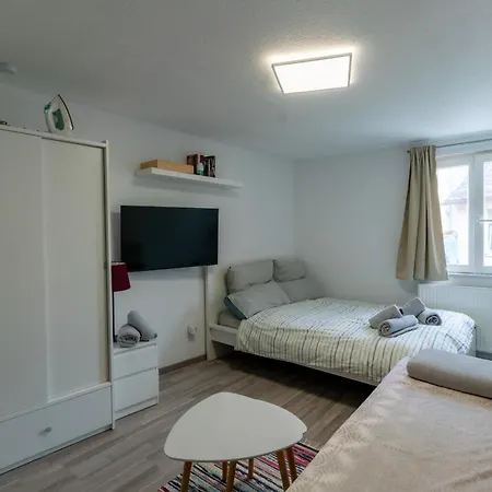 Nette Altbauwohnung In Biebrich *